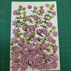 ✤Blue daisy✤様 リクエスト 2点 まとめ商品