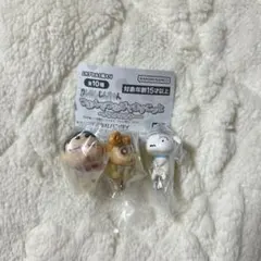 クレヨンしんちゃん　つまんでつなげてますこっと　 パステルカラー