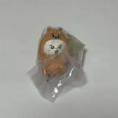 スキズ SKZOO つまんでつなげてますこっと リービット