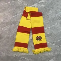 サッカーマフラー スイス アイスホッケー EHCビール・ビエンヌ