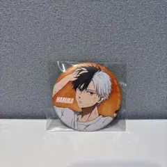 ウィンドブレイカー 桜遥 缶バッジ