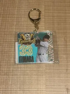 2025 阪神　優勝記念　オーロラアクリルキーホルダー　糸原健斗