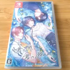 Switch 君に惑い、君に溺れる。 アニメイト特典小冊子 - メルカリ