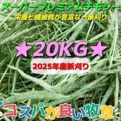 Item thumbnail for item 7ed143f9-41dc-4a95-8176-1efb26646a43