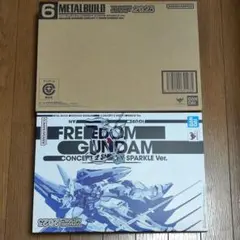 METAL BUILD フリーダムガンダム SNOW SPARKLE Ver.