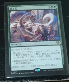 歯と爪