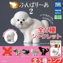 ふんばり～ぬ2 全5種 シークレットコンプ