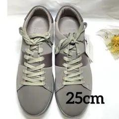 新品未使用✨ 箱タグ付き❤️ タケオキクチ ラインスニーカー スニーカー 25.0