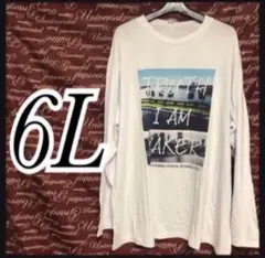 6L・フォト風プリントロンT新品/MCA-103