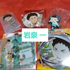 ハイキュー!! 岩泉一 岩ちゃん 青葉城西 青城 まとめ売り 缶バッジ アクスタ