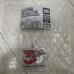 ポケモン 30周年 メタルチャームマスコット グラードン