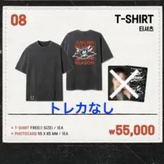 EXO ドギョンス ソウルコン Tシャツ トレカ付き ディオ EXhOrizon