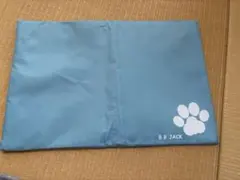 Item thumbnail for item d2bad46e-20b2-4866-931c-137b722929b9