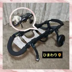 Item thumbnail for item a20983d7-3d4a-4ef5-9ccd-9e251c03f241