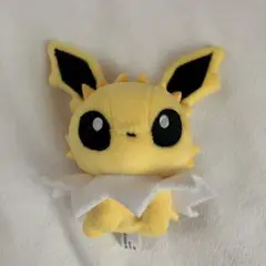 ポケモンぬいぐるみ