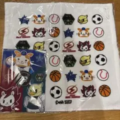 DeNA SPORTS GROUP 応援タオル　はじめてばこ神奈川