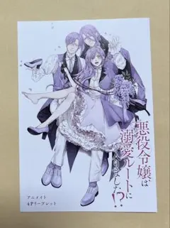 悪役令嬢は溺愛ルートに入りました⁉︎ 9 (小説)特典のみ