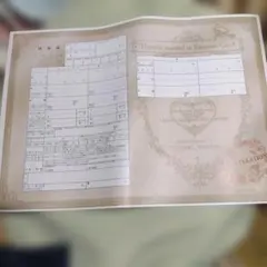 『限定品』 バイオハザード レジナントイービルラクーンシティ 婚姻届 1枚