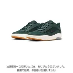 抽選完売品☆NIKE SB Air Max ISHOD 27.5cm 替え紐付き