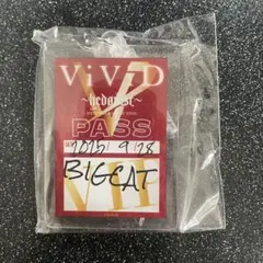 ViViD SHIN 生誕 VIPチケット特典アクリルキーホルダー ViViD SHIN 生誕 VIPチケット特典アクリルキーホルダー 2022