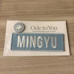 2025年最新】seventeen ワッペンの人気アイテム - メルカリ