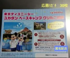 ★プリマハム　東京ディズニーシーご招待キャンペーン　応募ハガキ　30枚★