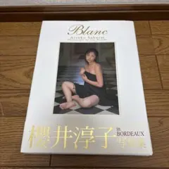 櫻井淳子写真集 Blanc in BORDEAUX 美品初版
