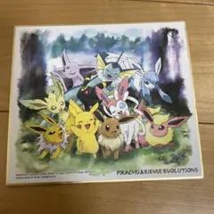 ポケモン My151イーブイキャンペーン 非売品 色紙 - メルカリ