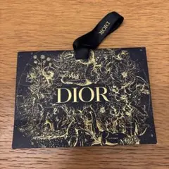 Dior ディオール 星座デザイン ギフトバッグのサムネイル