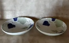 たち吉 中皿 2枚セット 約20cm 葉柄 和皿のサムネイル