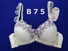 Z217★【匿名配送】花柄刺繍♪ブラジャー(パープル＆クリーム系)B75