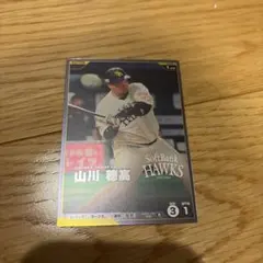 プロ野球ファンスターズリーグ 山川穂高 ソフトバンクホークス レア R
