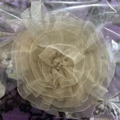 Item thumbnail for item b9d4c50c-8fe3-4965-ba72-de8dc448b604