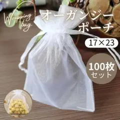 オーガンジー 巾着袋 100枚 ラッピング袋 収納袋 17×23