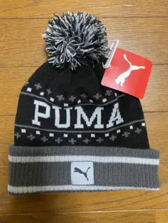 Item thumbnail for item ef397047-dbeb-46b9-93bd-4095b67126c3