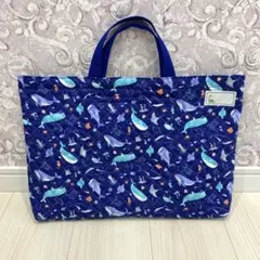現品限り　レッスンバッグ　絵本バッグ　外ポケット有り　ネーム付き
