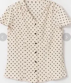 Item thumbnail for item 2e5a5e6d-a1aa-40b9-96c7-cef11fb2a37b