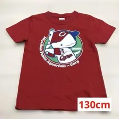 Item thumbnail for item 3c57ede6-a838-469d-bb74-f67e445faee7