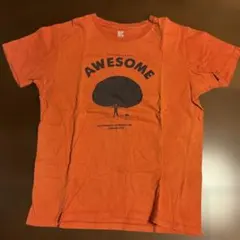 graniph Tシャツ Mサイズ オレンジ