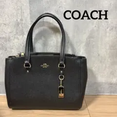 COACH コーチ ハンドバッグ ローグ25 天然 パイソン 1941 ほぼ新品 