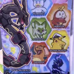 いちご様専用 ポケモン アニポケ スピネル ブラッキー 5枚セット