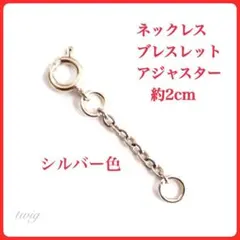 極細ネックレス延長アジャスターシルバー銀色サージカルステンレス2㎝長さオーダー