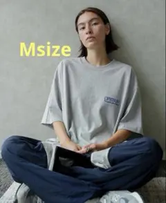 OPTSTUFF×GOAT Tシャツ グレー Mサイズ