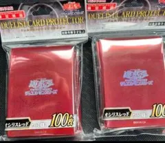 2025年最新】オシリスレッド スリーブの人気アイテム - メルカリ