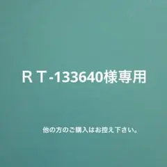 RT-133640様専用