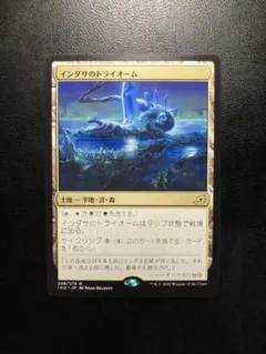 2025年最新】インダサのトライオームの人気アイテム - メルカリ