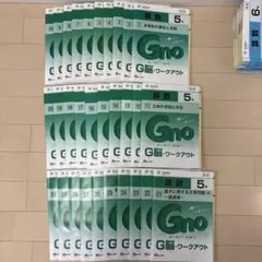 中学受験グノーブル　算数5年 G脳ワークアウト　全30冊