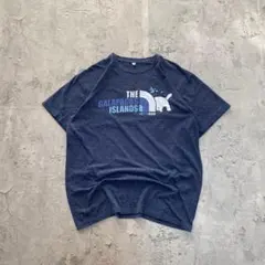 USA古着 アメリカ輸入 プリント Tシャツ 半袖 XLサイズ 英文字