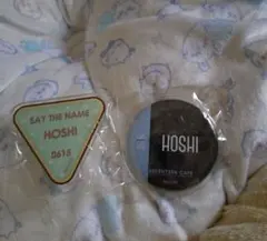 seventeen缶バッジアクリルバッジセット　ホシ