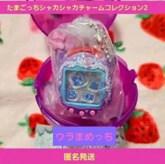 たまごっちシャカシャカチャームコレクション2 ウラまめっち ガチャ ストラップ